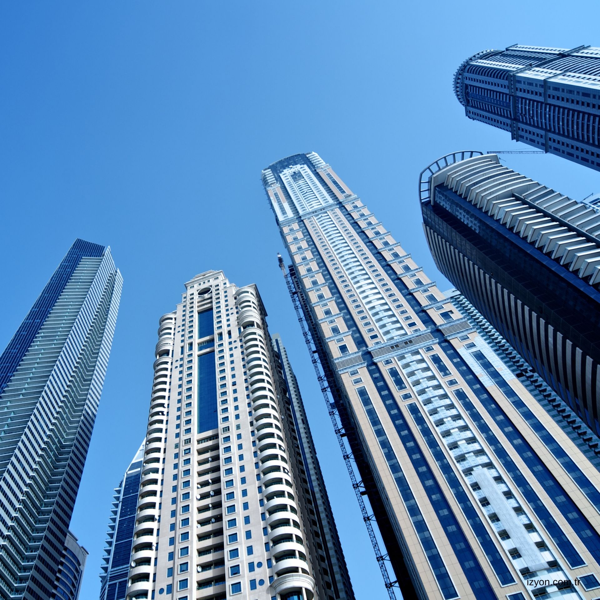 Bayraklı Yönetim Şirketi