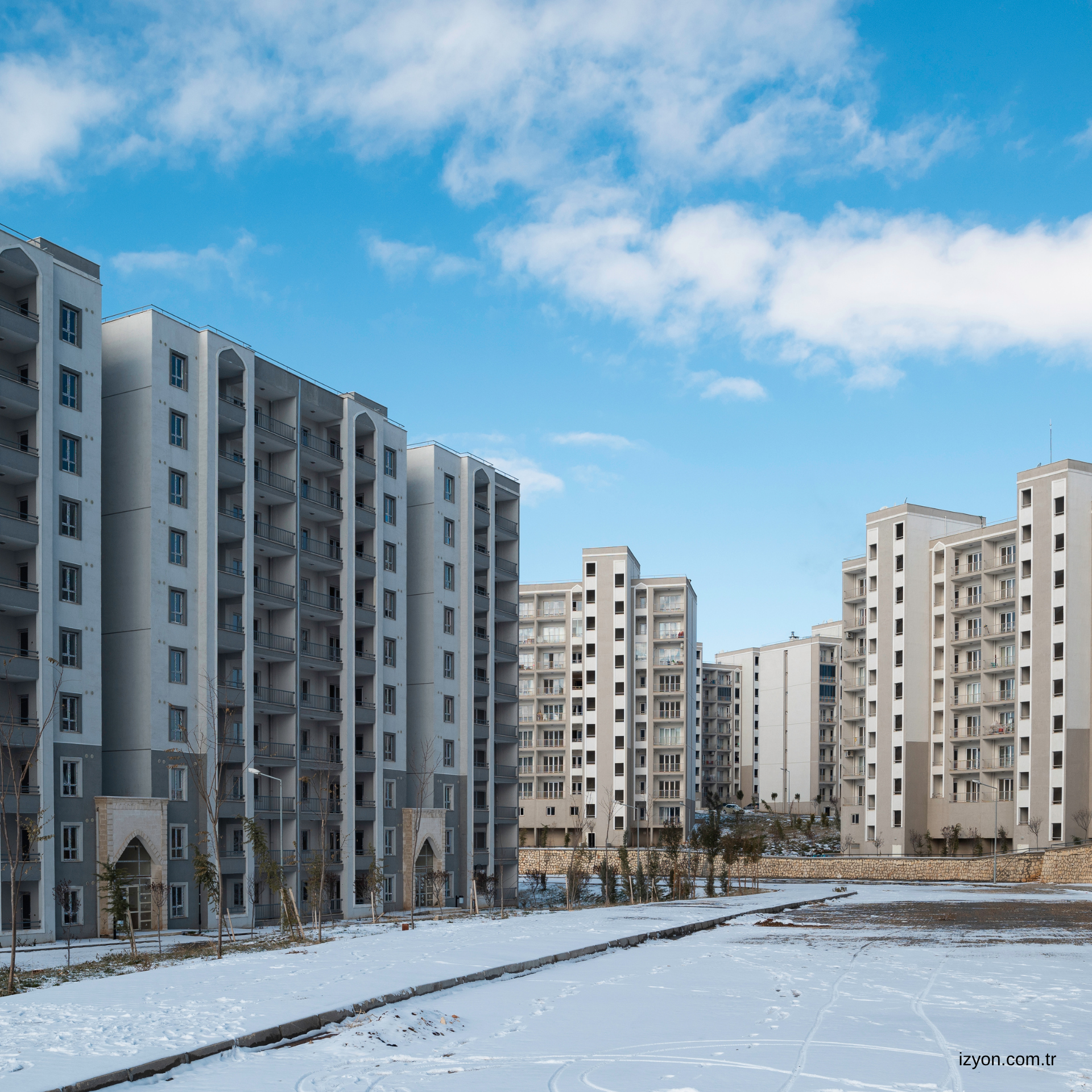 Buca Yönetim Şirketi